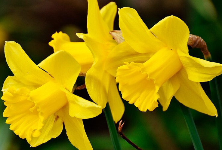 Screenshot 2026 02 06 183058