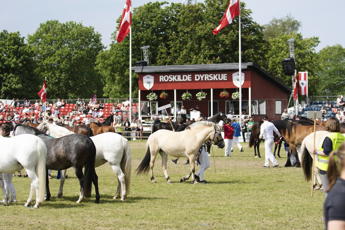 Roskilde Dyrskue